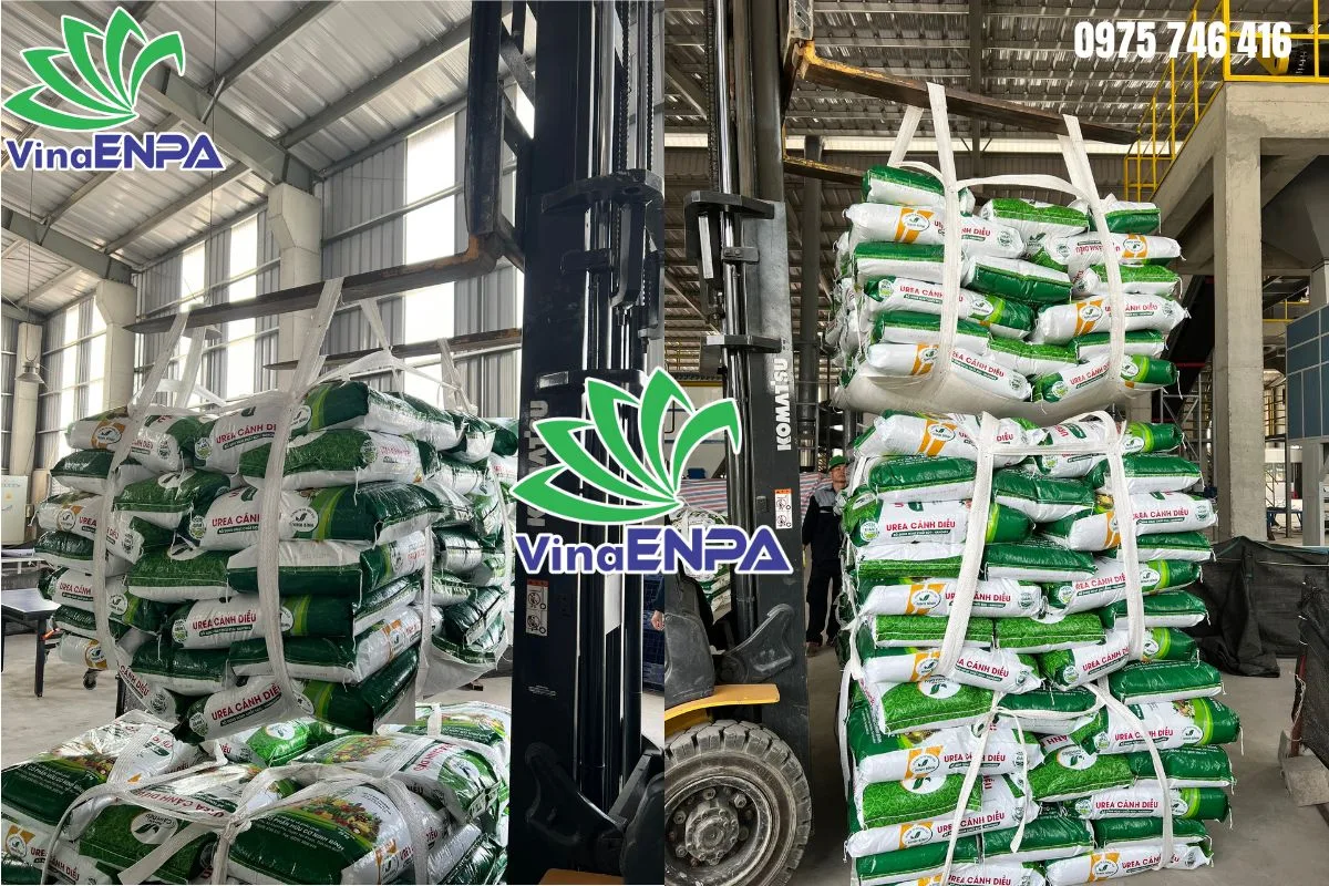 Bao sling thay thế pallet gỗ